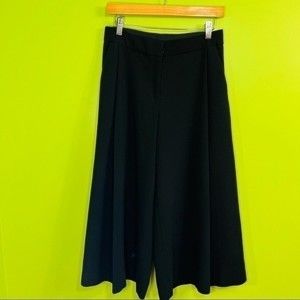 Victoria Beckham skirted ankle pants size 6